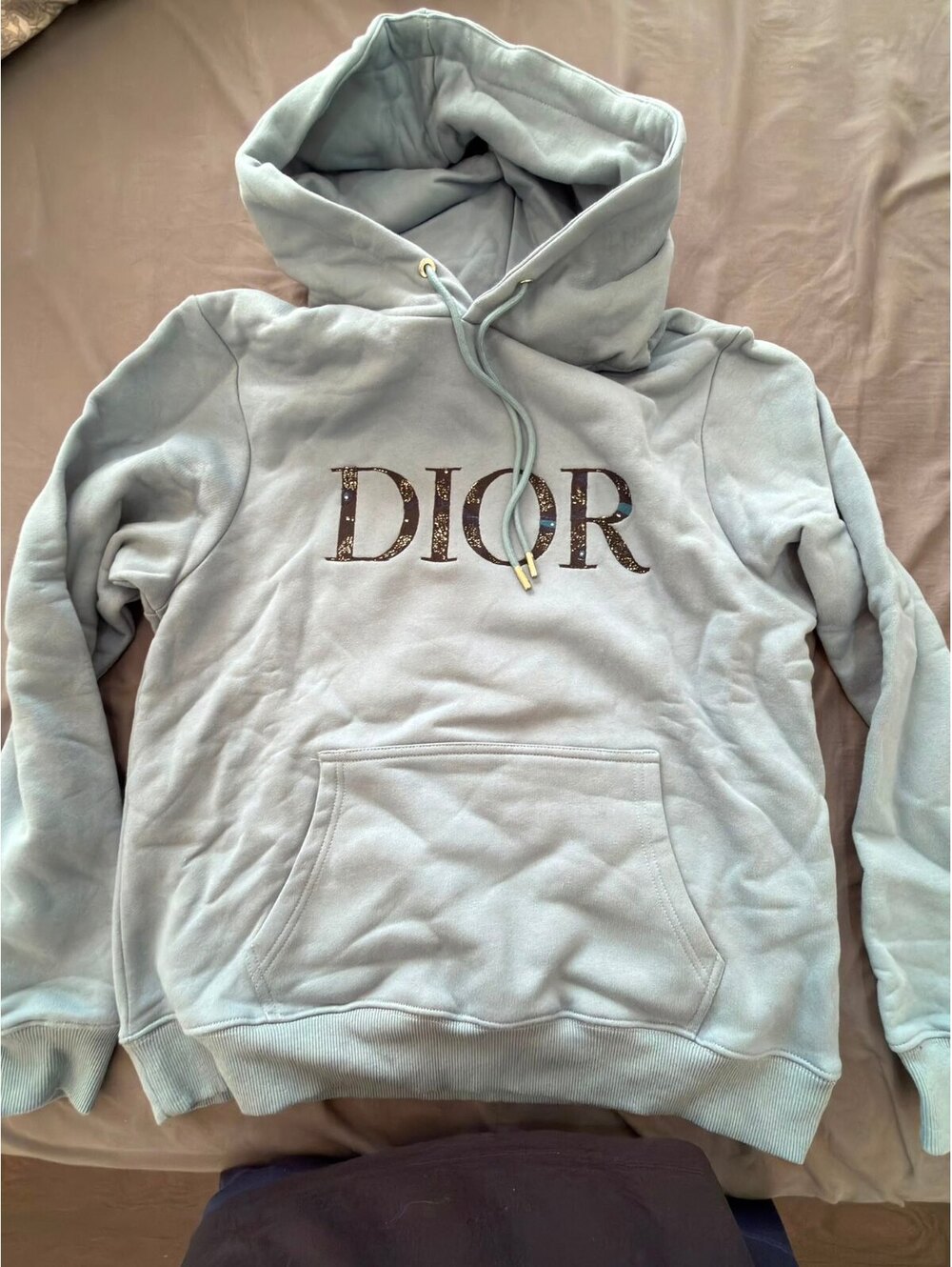 Dior Light Blue Hooded Sweatshirt with Logo Print